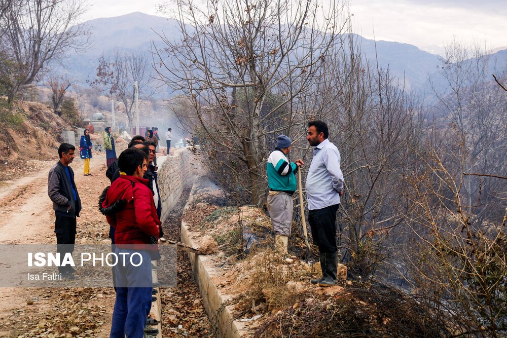 تصاویر: آتش سوزی ۶ هکتار از باغات روستای تنگ سریز بویراحمد