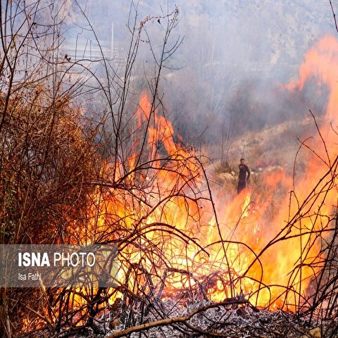 تصاویر: آتش سوزی ۶ هکتار از باغات روستای تنگ سریز بویراحمد