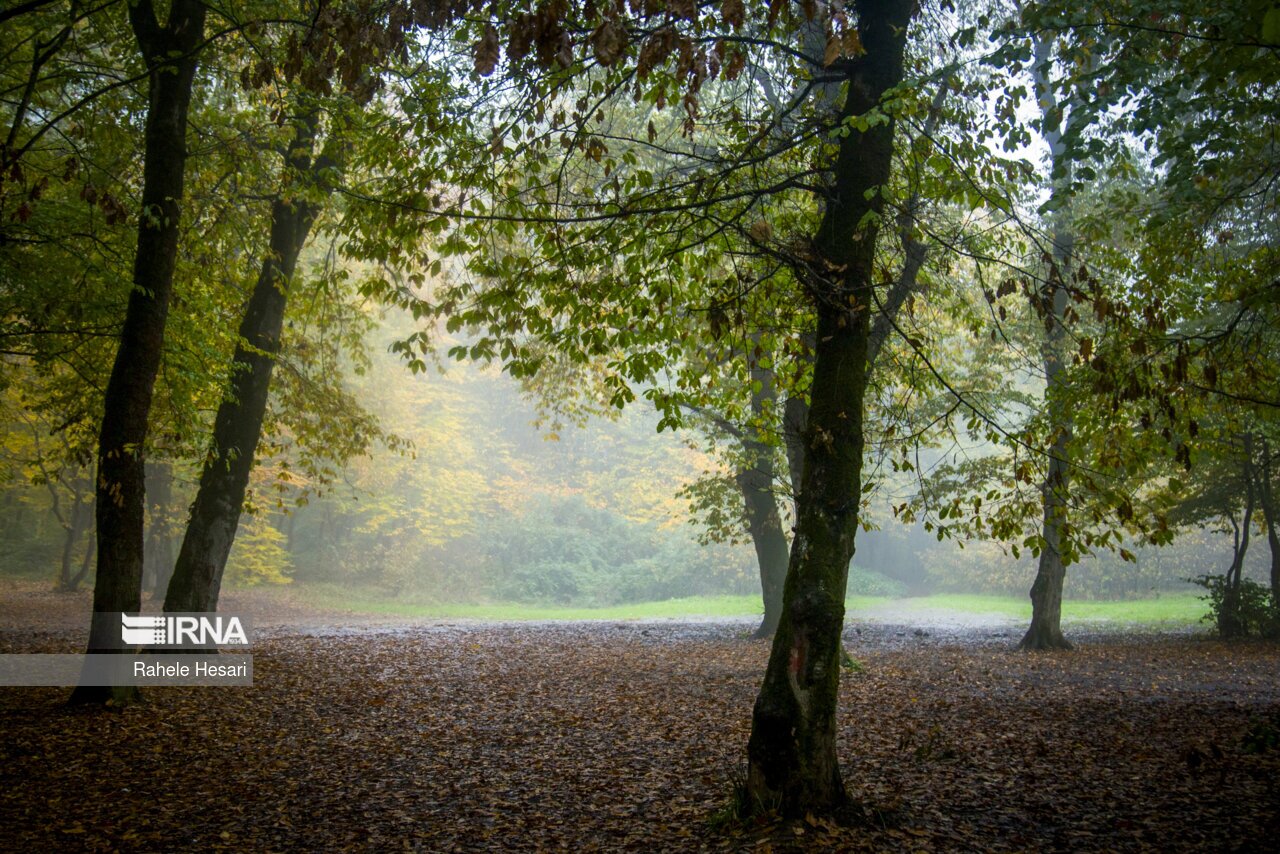 تصاویر: طبیعت بارانی النگدره