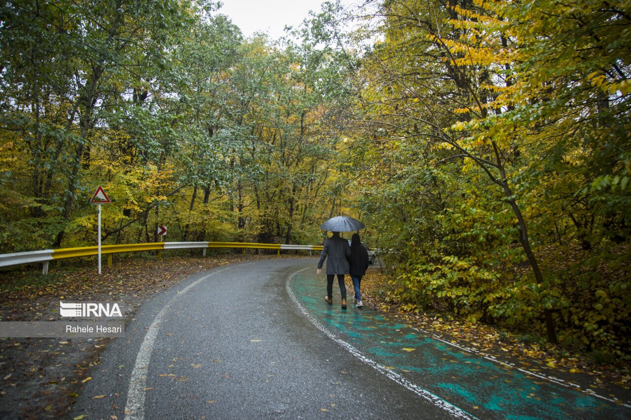 تصاویر: طبیعت بارانی النگدره