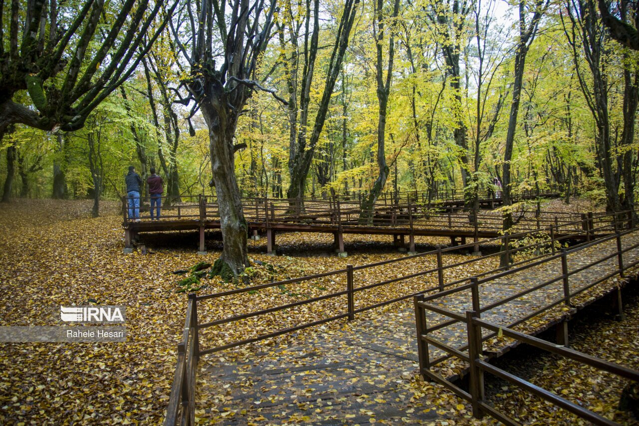 تصاویر: طبیعت بارانی النگدره