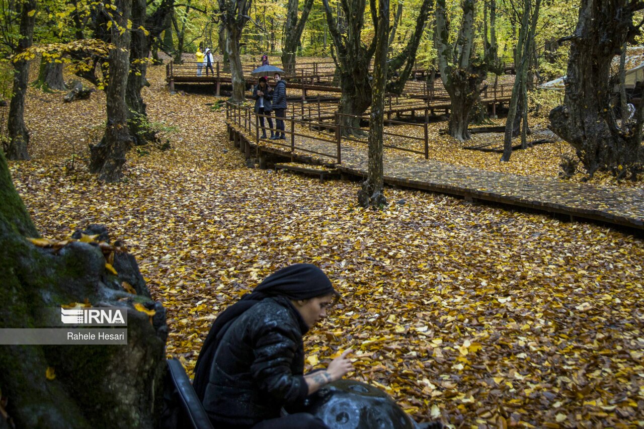 تصاویر: طبیعت بارانی النگدره