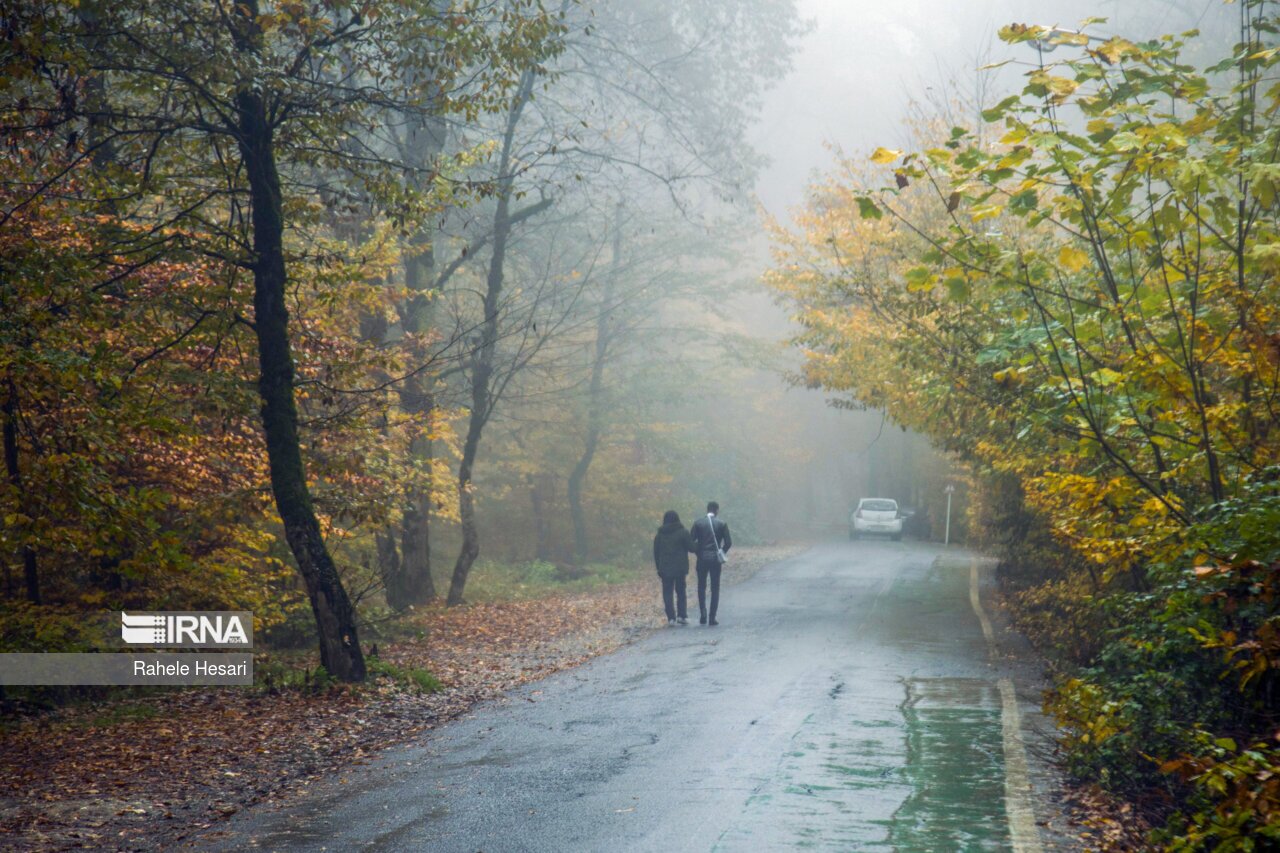 تصاویر: طبیعت بارانی النگدره