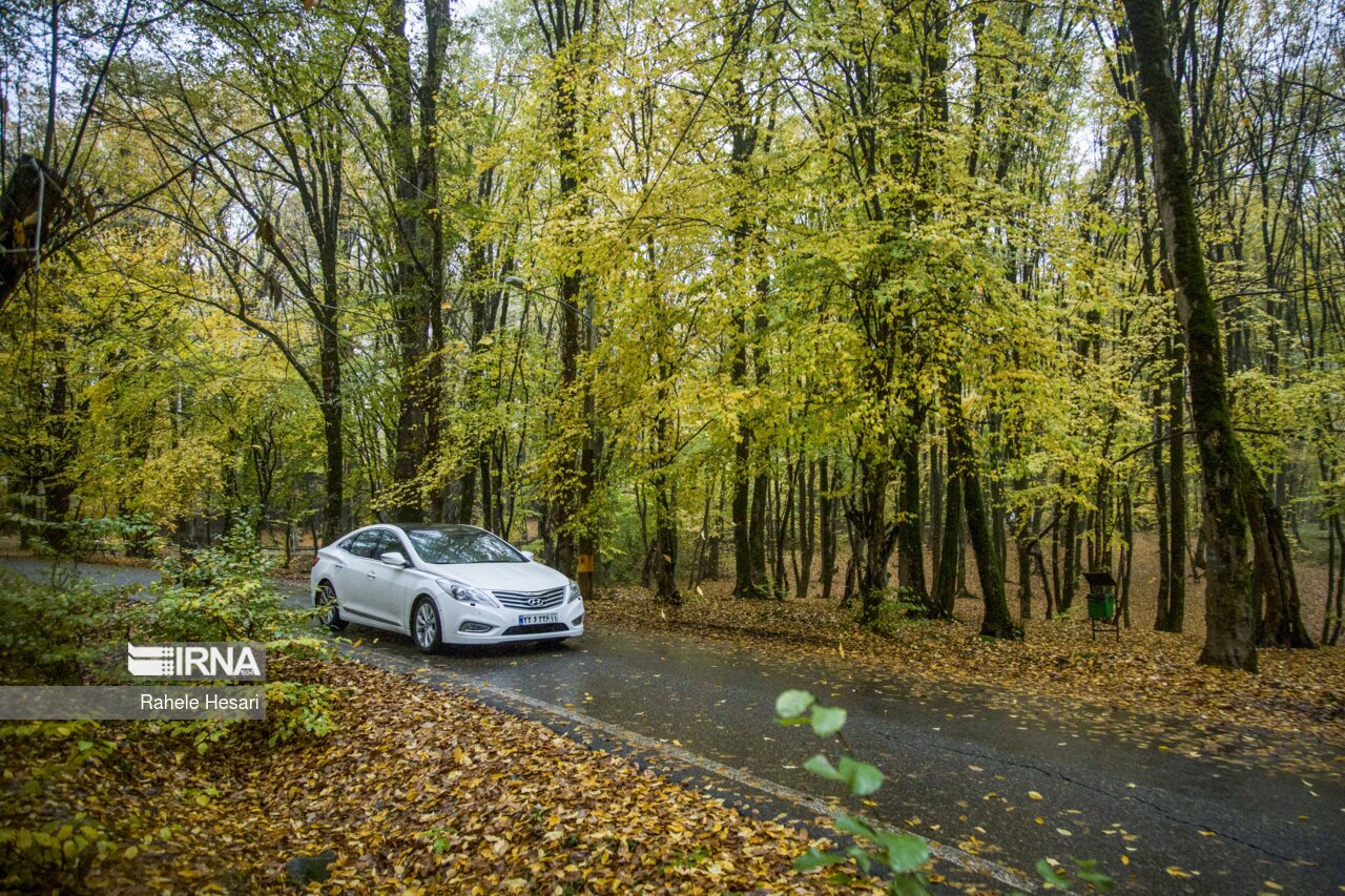 تصاویر: طبیعت بارانی النگدره