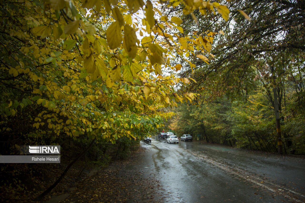تصاویر: طبیعت بارانی النگدره