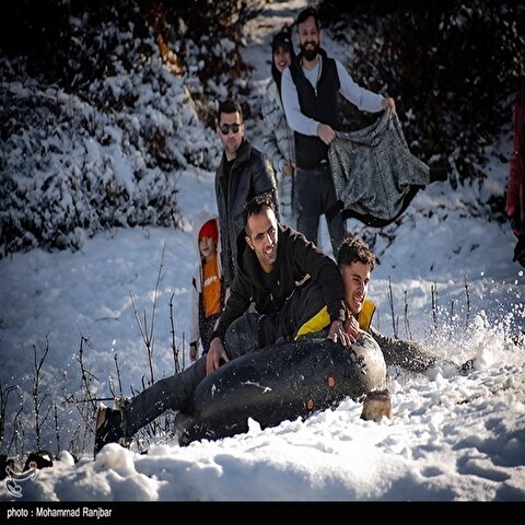 تصاویر: بارش برف در ارتفاعات گیلان