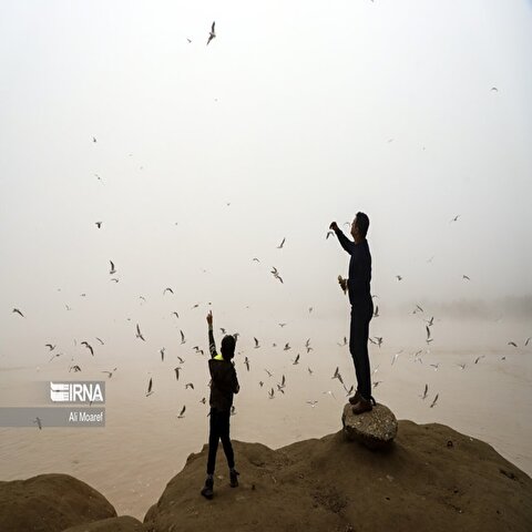 تصاویر: مِه گرفتگی در اهواز