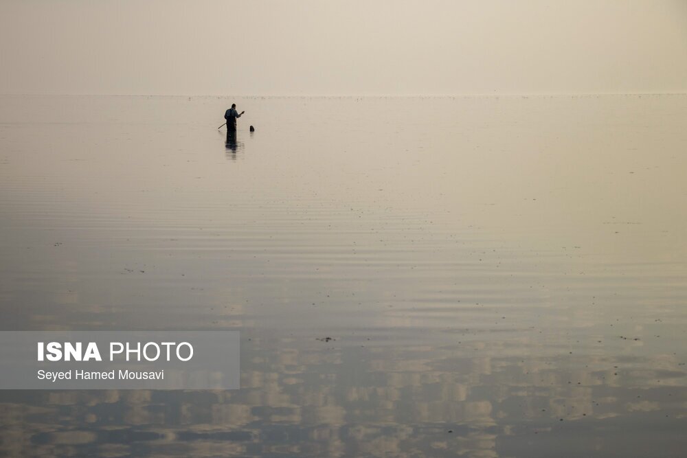 تصاویر: نگهبانان تالاب