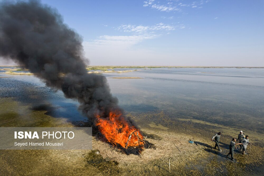تصاویر: نگهبانان تالاب