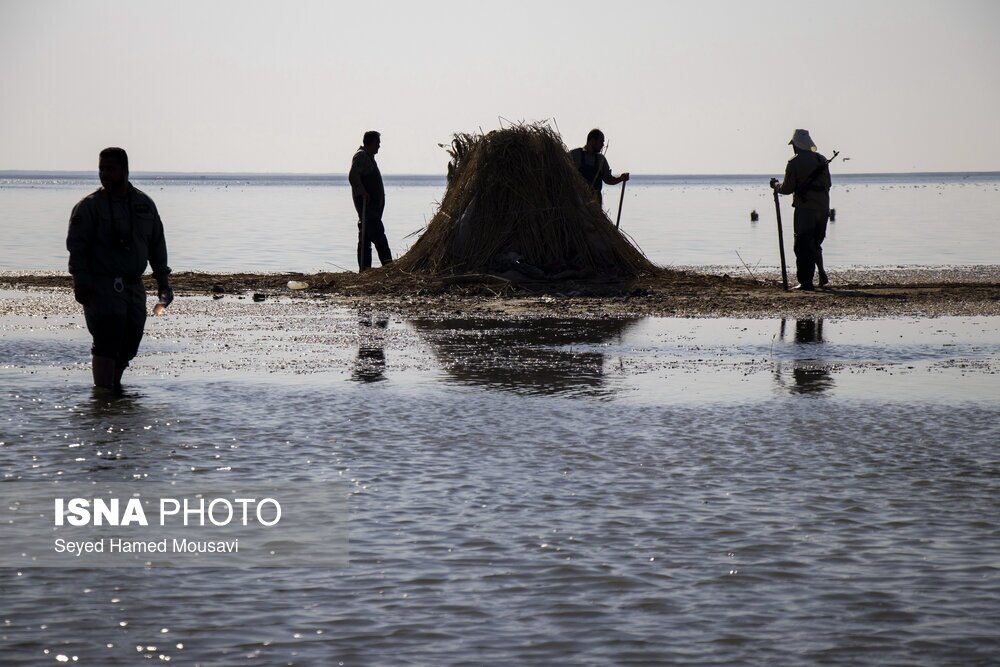 تصاویر: نگهبانان تالاب