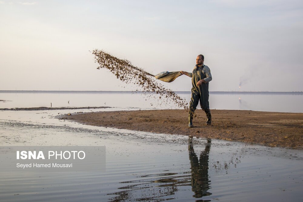 تصاویر: نگهبانان تالاب