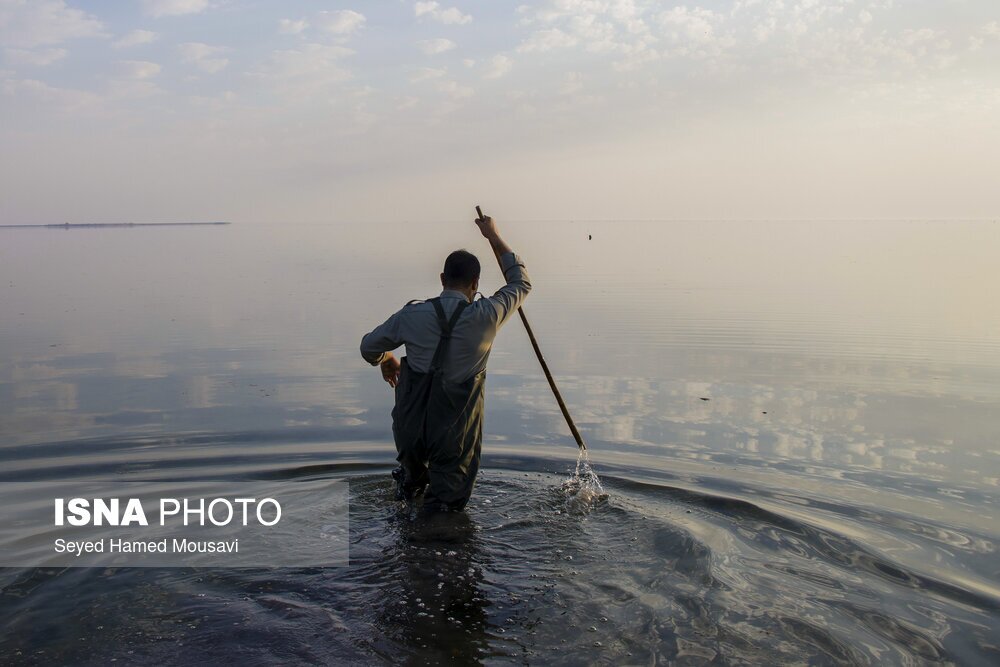 تصاویر: نگهبانان تالاب