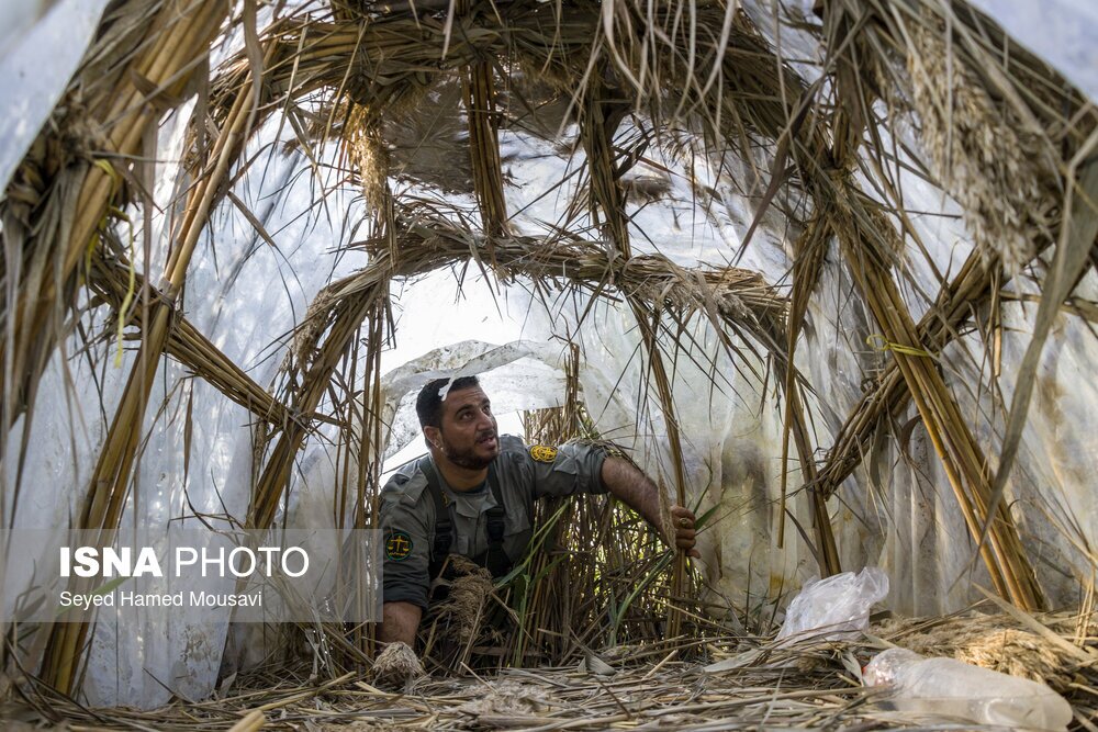 تصاویر: نگهبانان تالاب