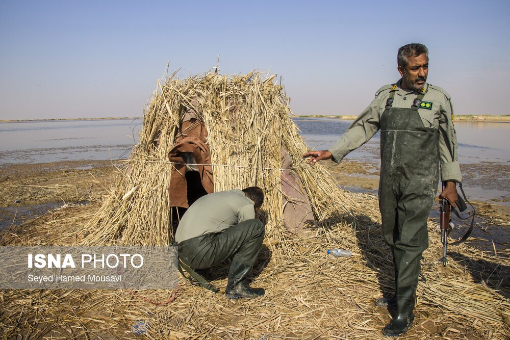 تصاویر: نگهبانان تالاب