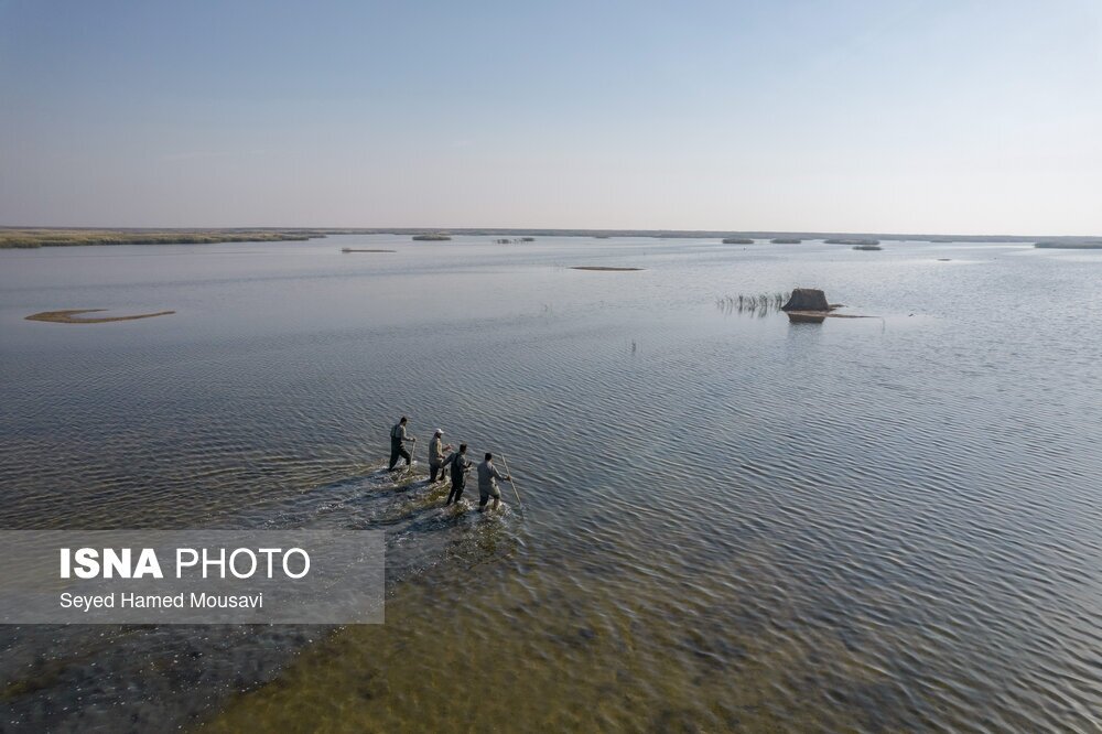 تصاویر: نگهبانان تالاب