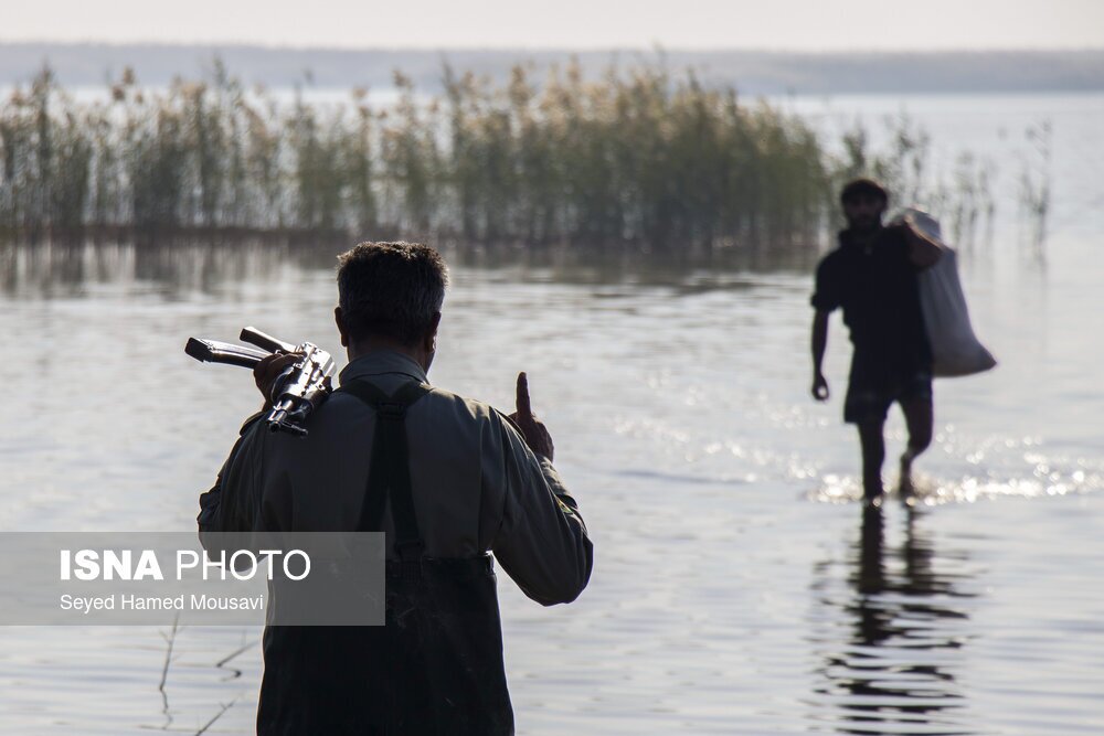 تصاویر: نگهبانان تالاب