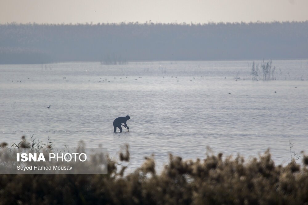 تصاویر: نگهبانان تالاب