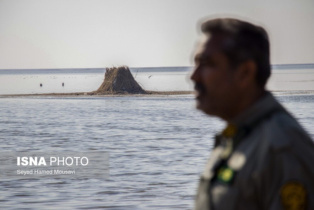 تصاویر: نگهبانان تالاب