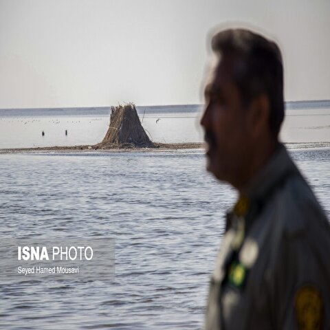 تصاویر: نگهبانان تالاب