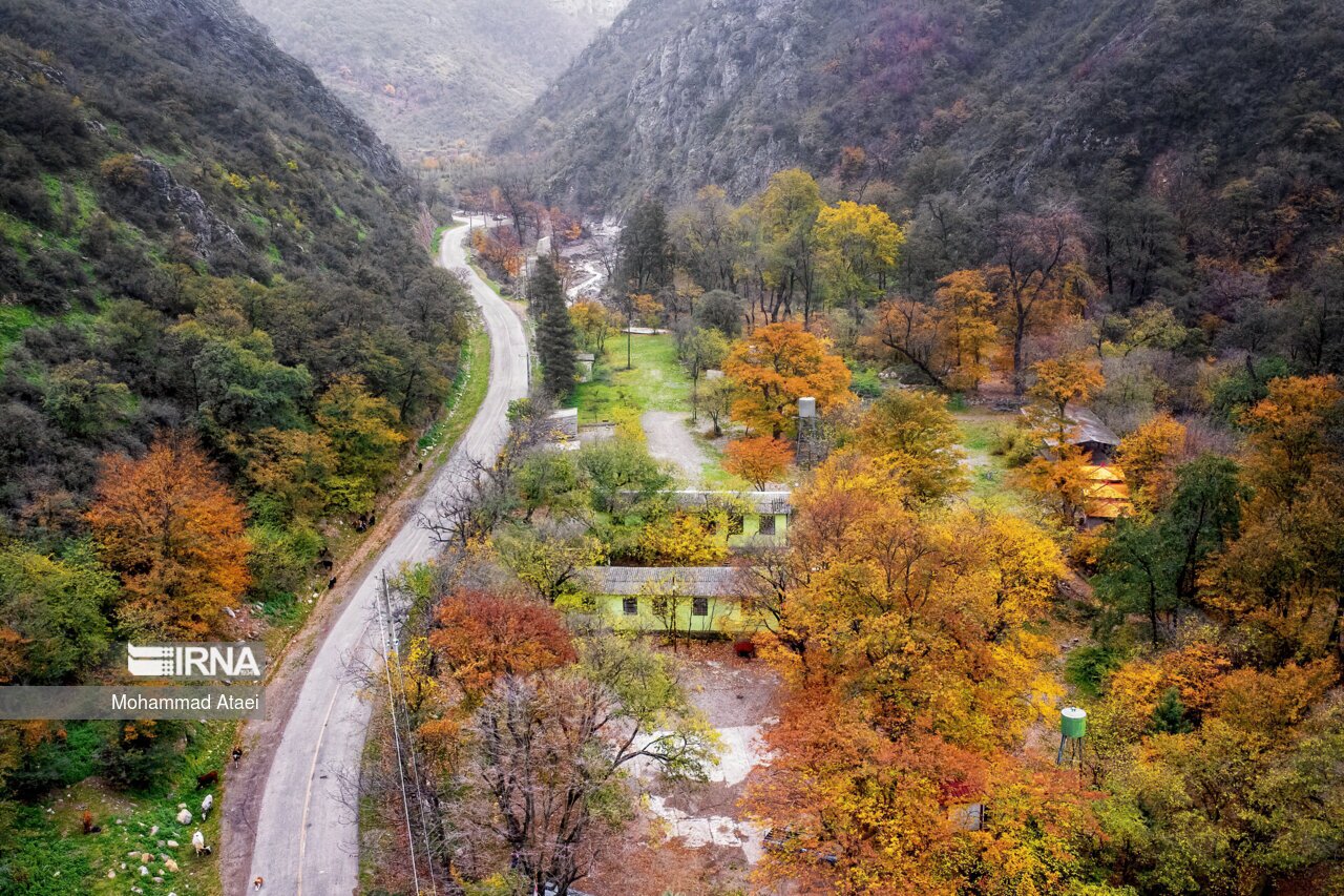 تصاویر: