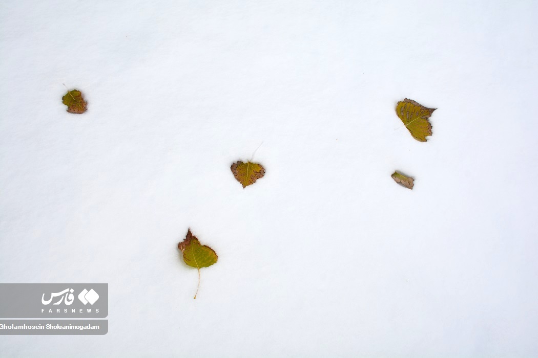 تصاویر: «برف پاییزی» در اردبیل