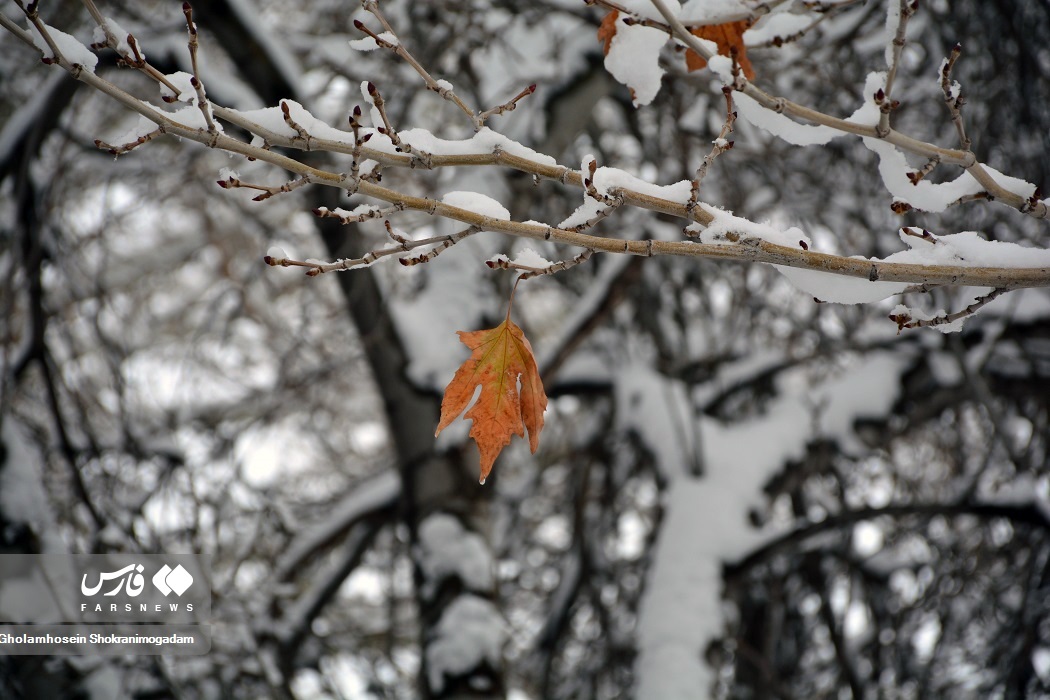 تصاویر: «برف پاییزی» در اردبیل