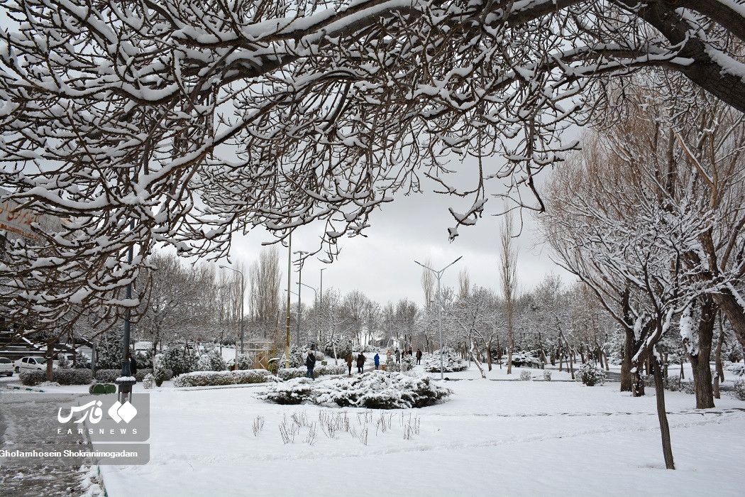 تصاویر: «برف پاییزی» در اردبیل