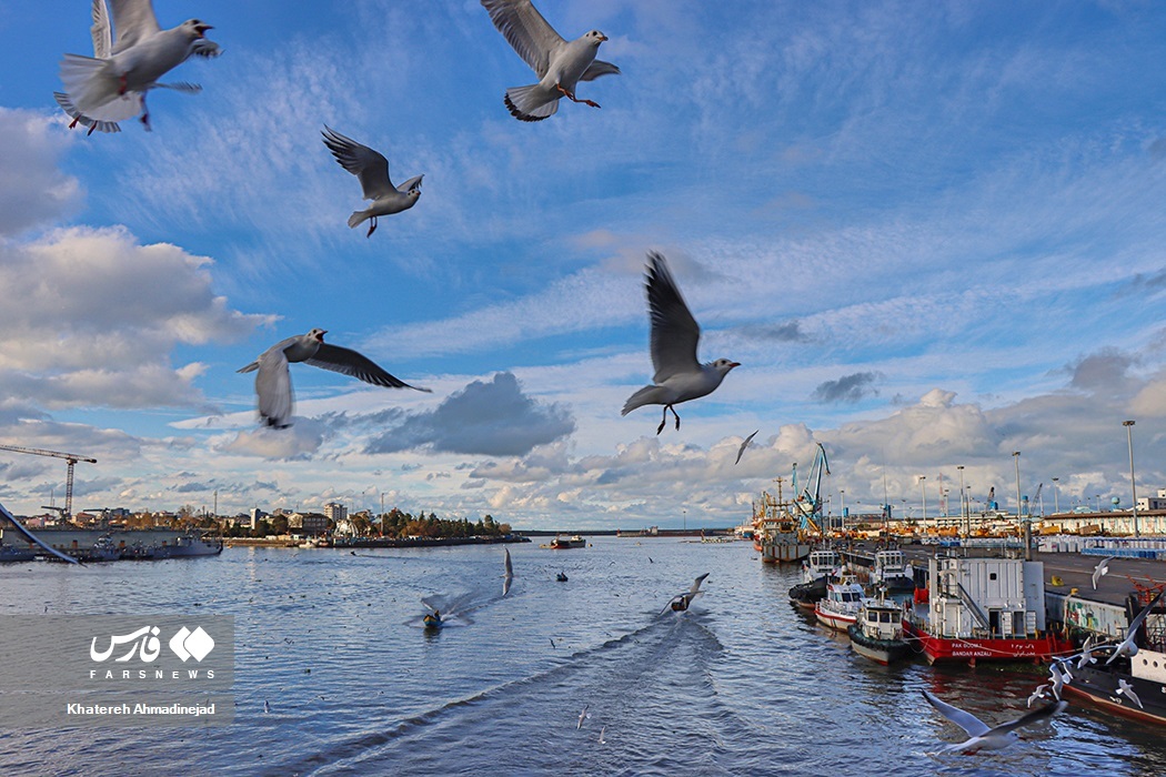 تصاویر: «مهاجران سیبری» در گیلان