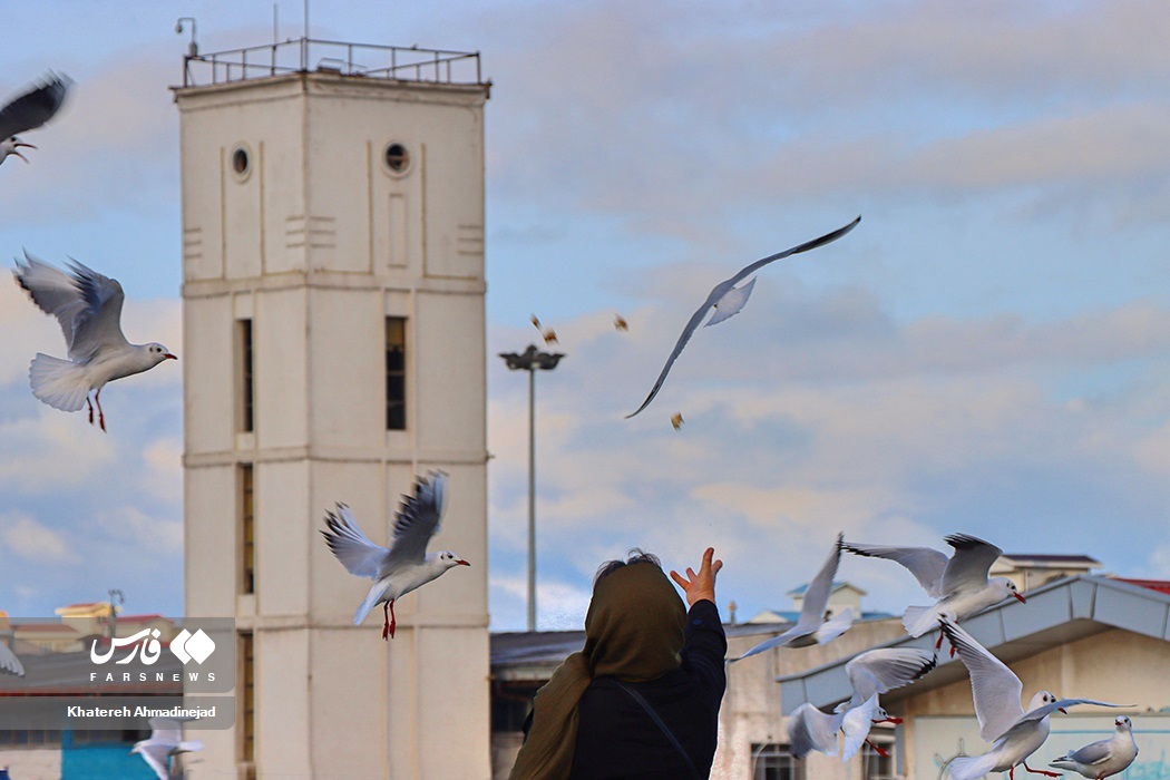 تصاویر: «مهاجران سیبری» در گیلان