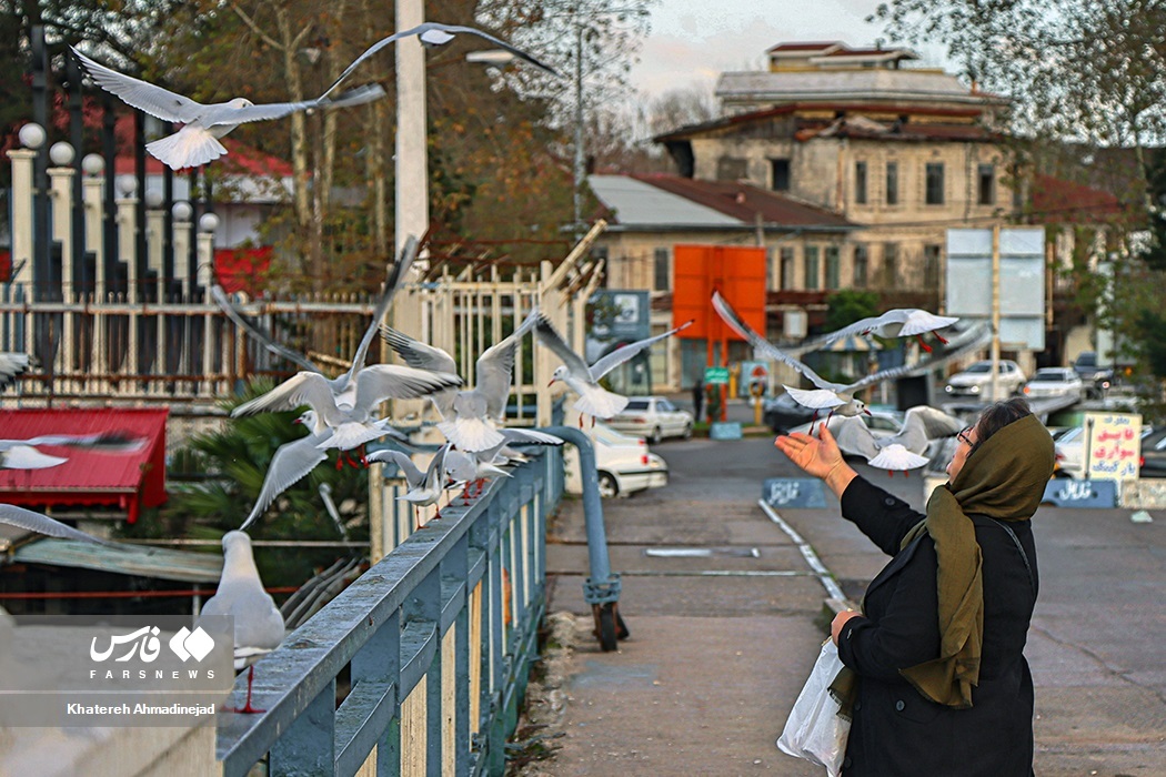 تصاویر: «مهاجران سیبری» در گیلان