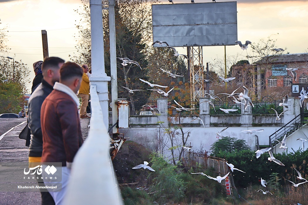 تصاویر: «مهاجران سیبری» در گیلان