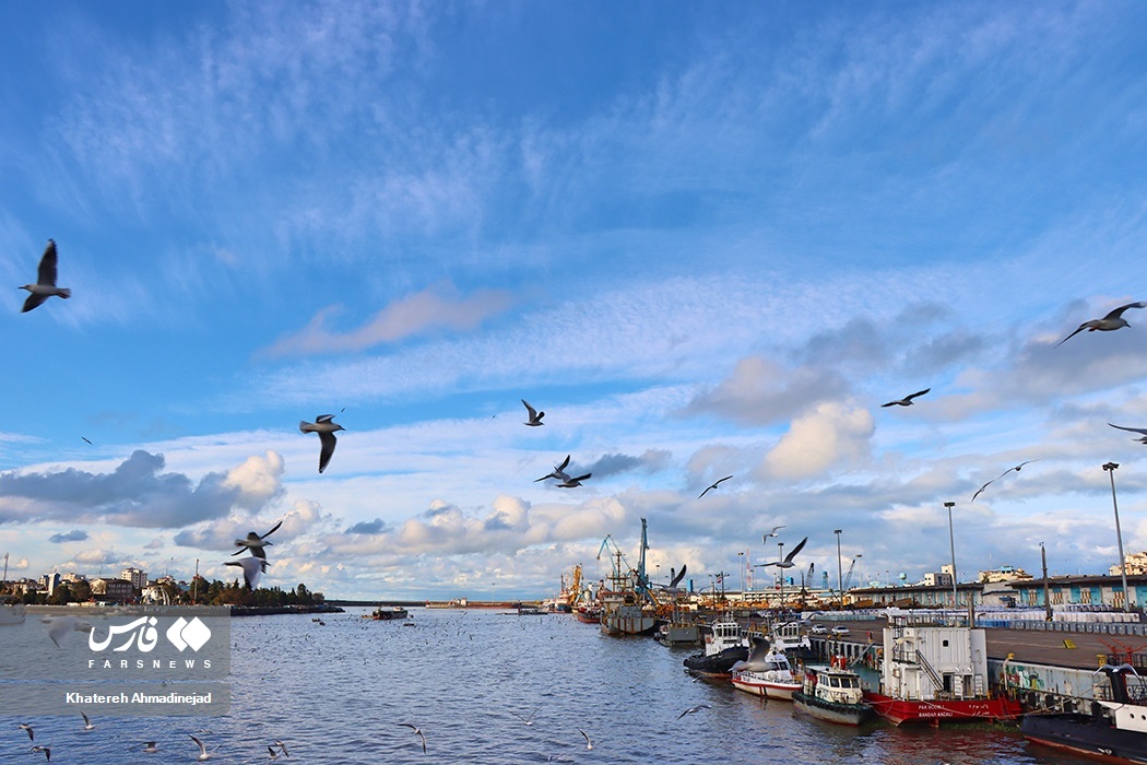 تصاویر: «مهاجران سیبری» در گیلان