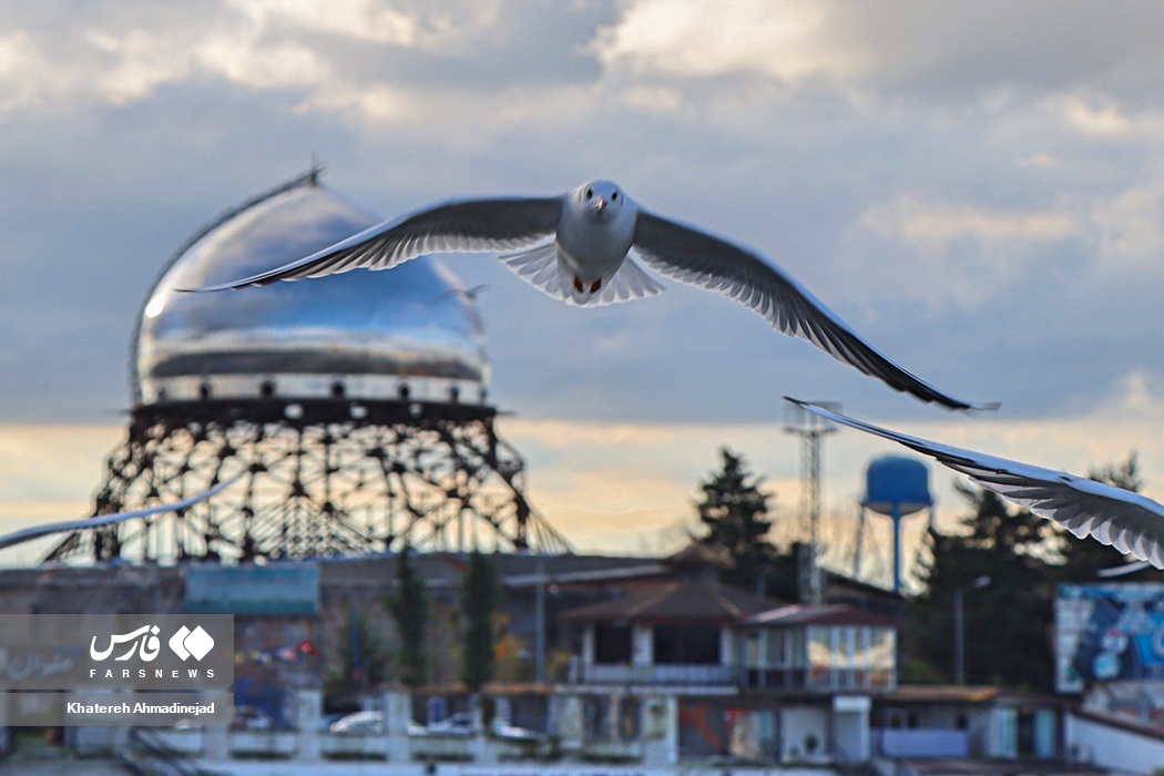 تصاویر: «مهاجران سیبری» در گیلان