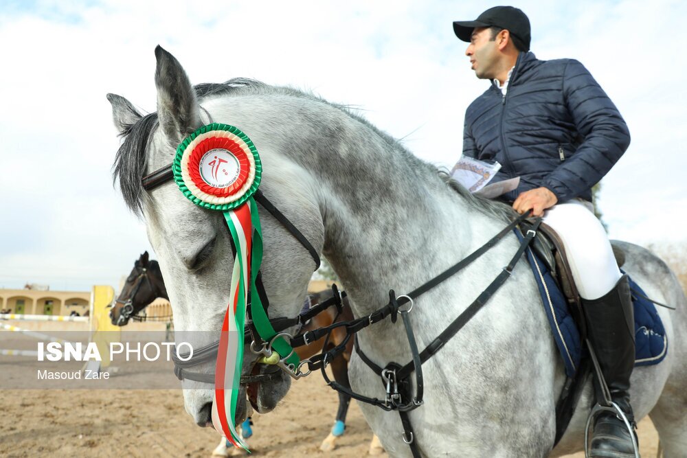 تصاویر: مسابقات پرش با اسب یزد