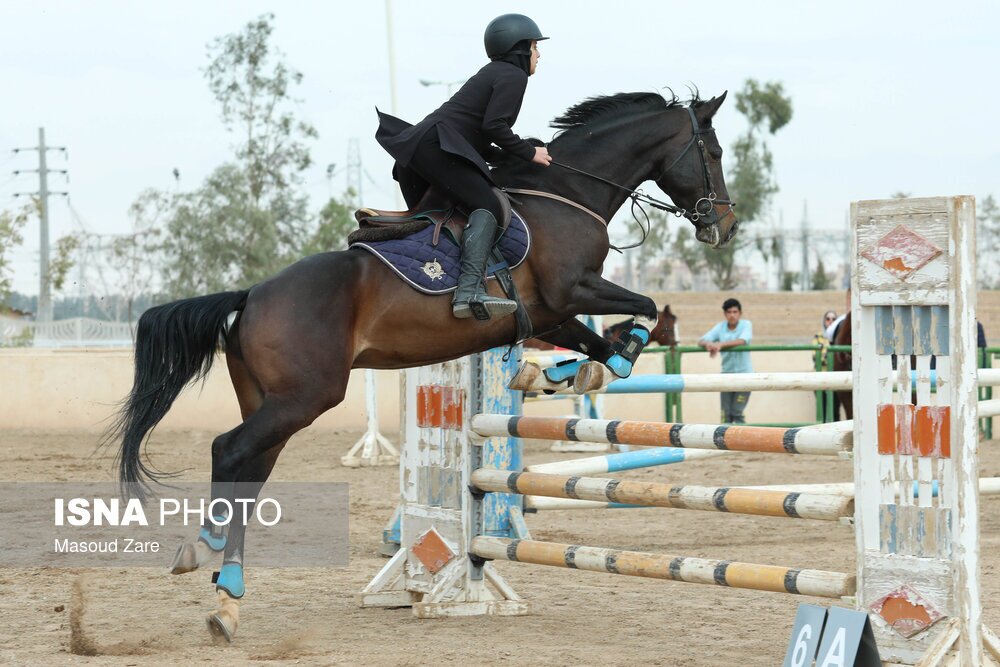 تصاویر: مسابقات پرش با اسب یزد