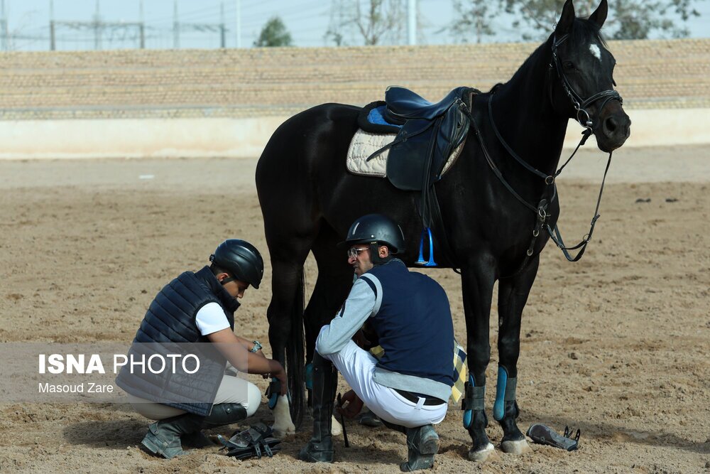 تصاویر: مسابقات پرش با اسب یزد