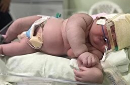 ببینید / سنگین‌ترین نوزادِ ایرانی به دنیا آمد