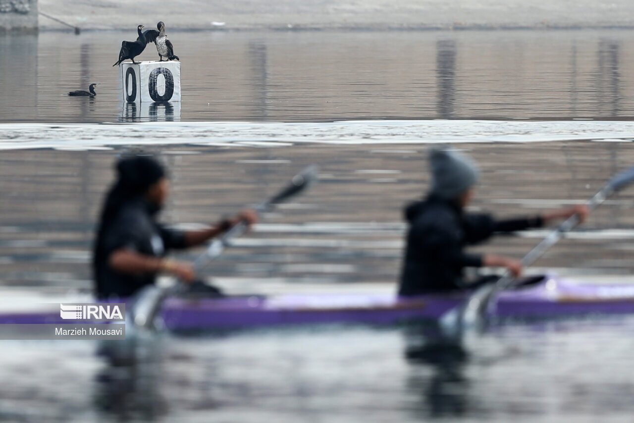 تصاویر: مسابقات قایقرانی آب های آرام
