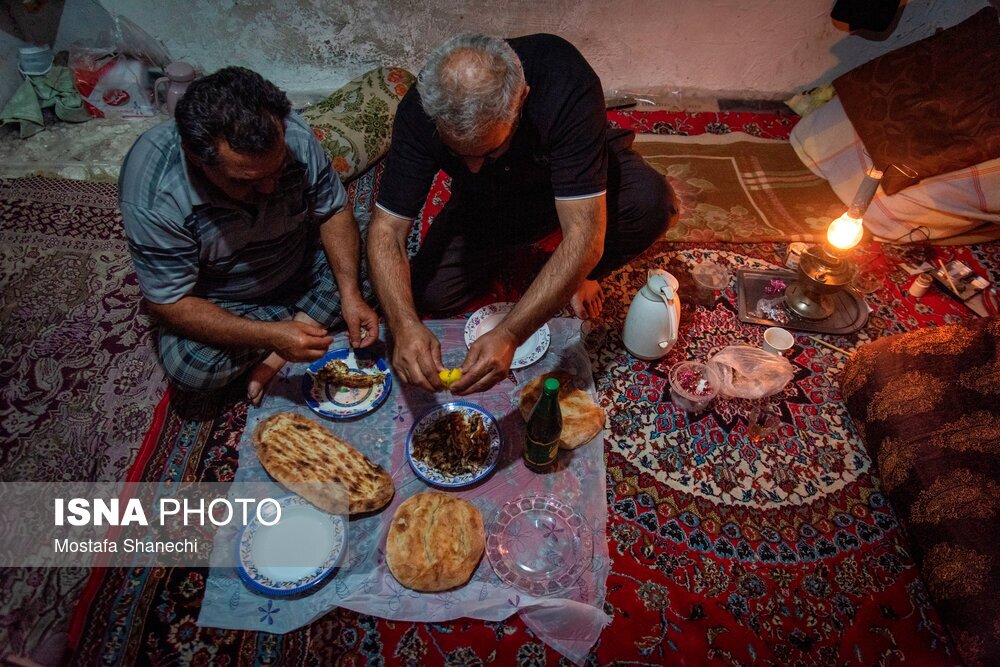 تصاویر: صید شبانه ماهی