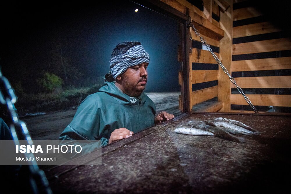 تصاویر: صید شبانه ماهی
