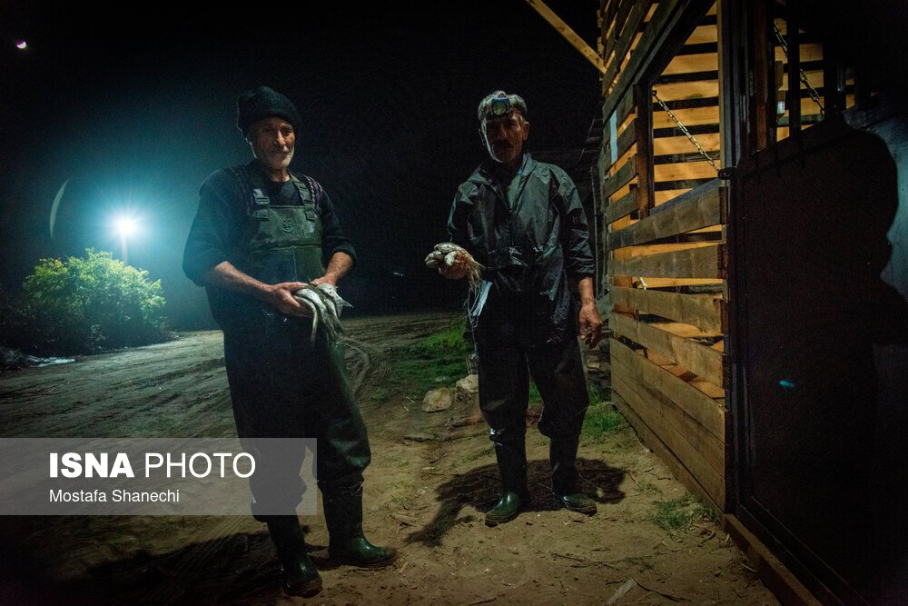 تصاویر: صید شبانه ماهی