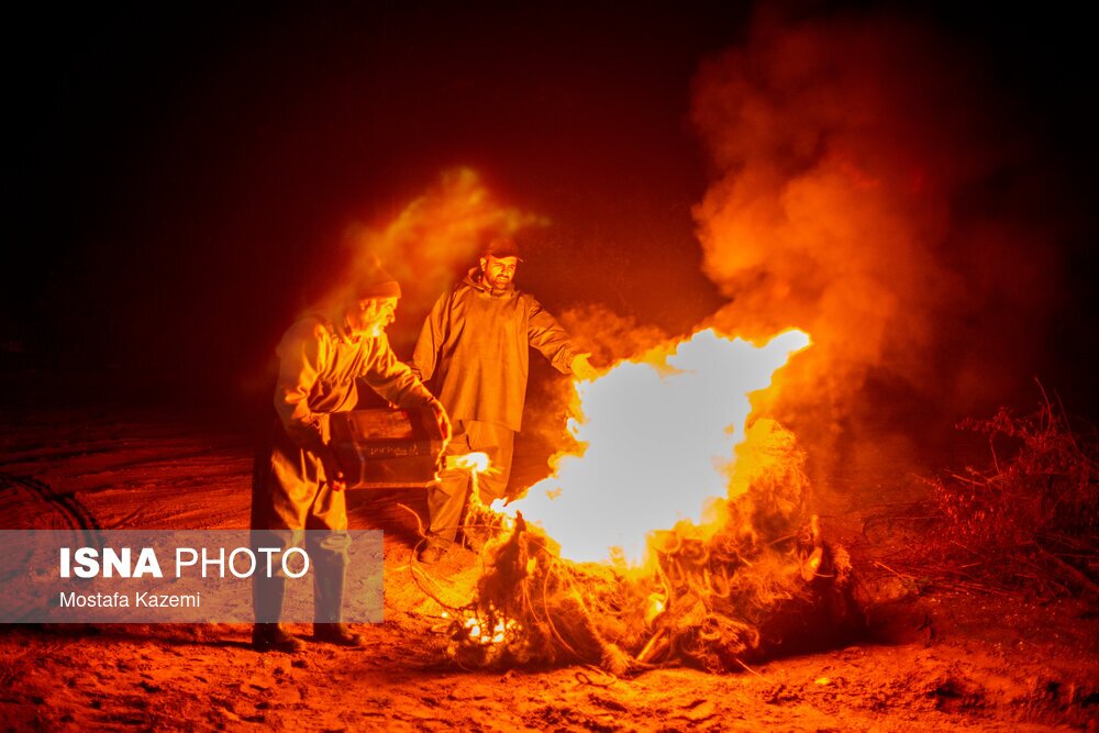 تصاویر: صید شبانه ماهی