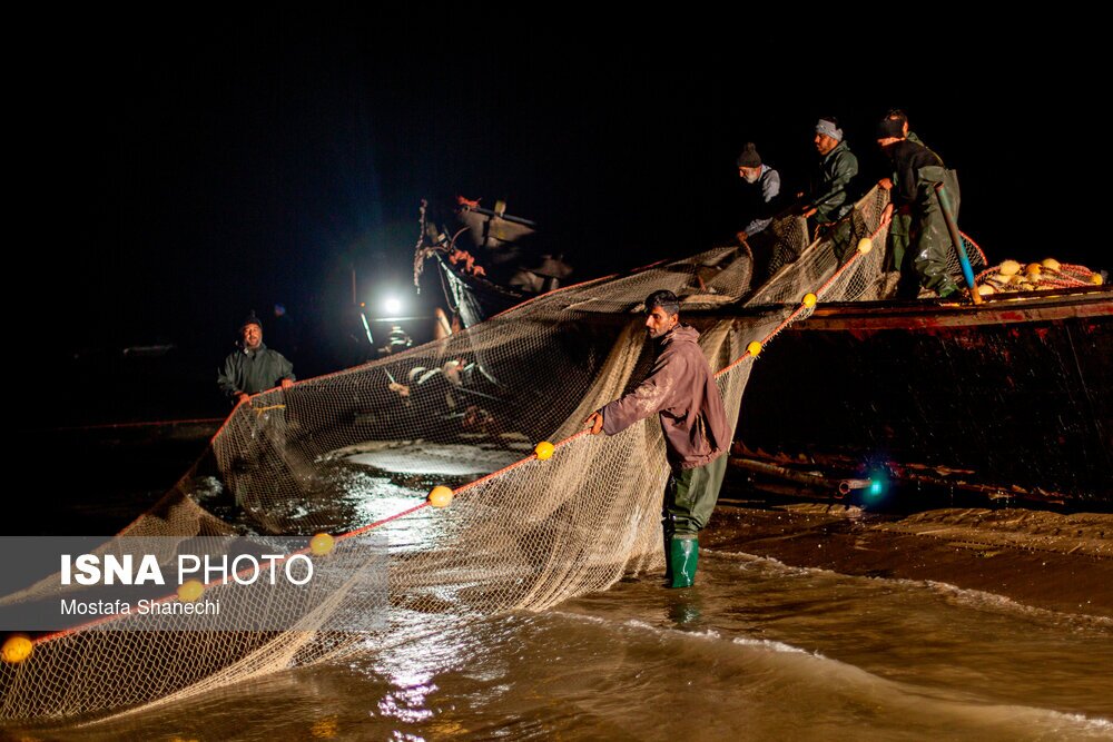 تصاویر: صید شبانه ماهی