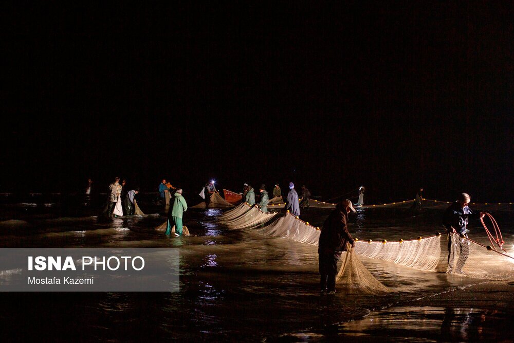 تصاویر: صید شبانه ماهی