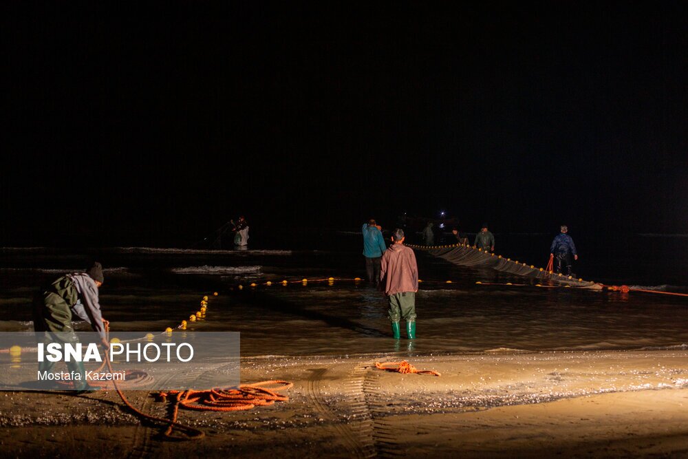 تصاویر: صید شبانه ماهی