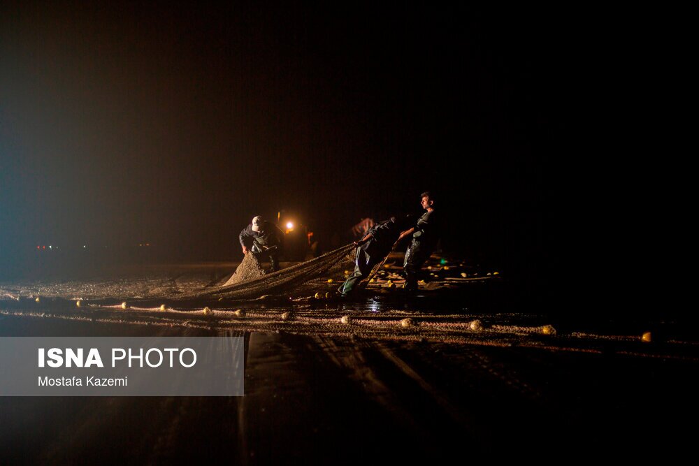 تصاویر: صید شبانه ماهی