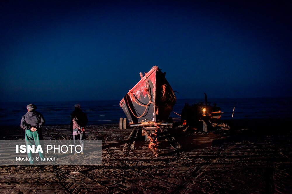 تصاویر: صید شبانه ماهی