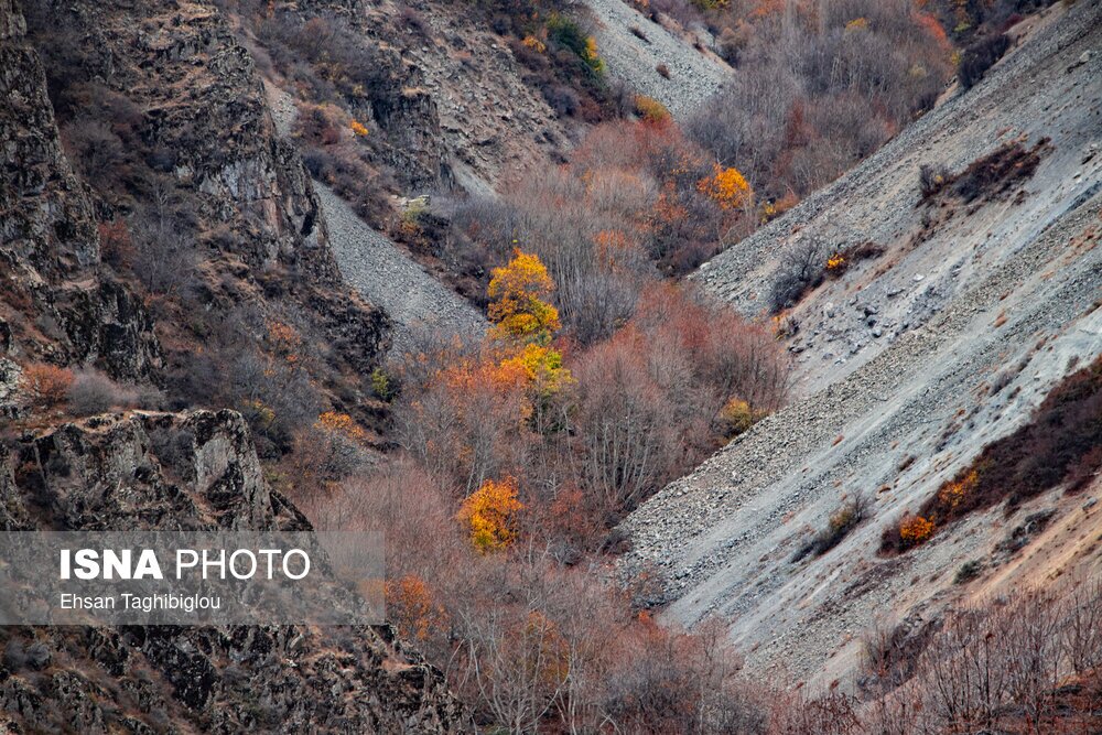 تصاویر: پاییز هزار رنگ در روستای «شیت»