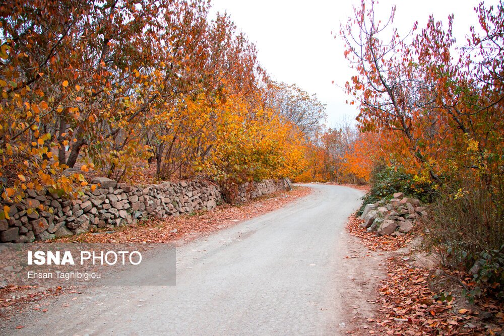 تصاویر: پاییز هزار رنگ در روستای «شیت»