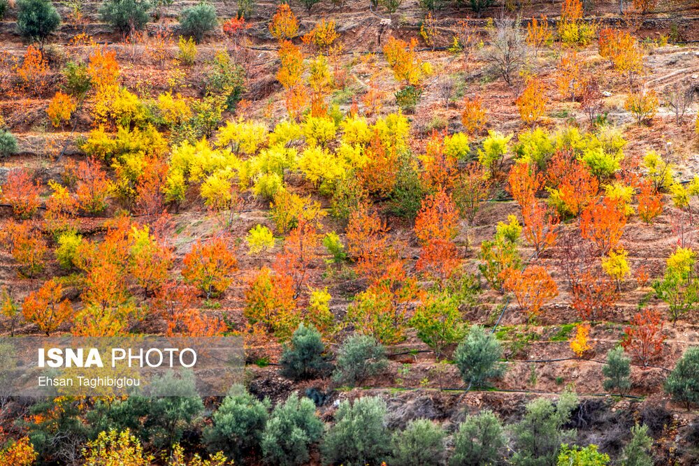تصاویر: پاییز هزار رنگ در روستای «شیت»